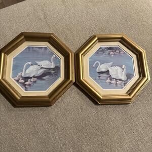 Cottage Core Vintage SWAN art Mother/Parents/Ducklings UNIQUE Octagon Frame